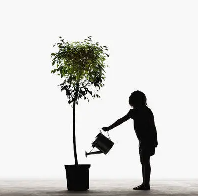 1604625711216183.png image.png