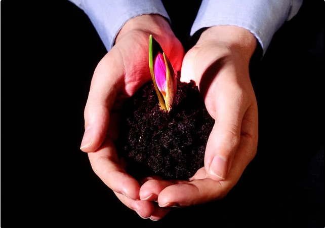 1604625730614165.png image.png